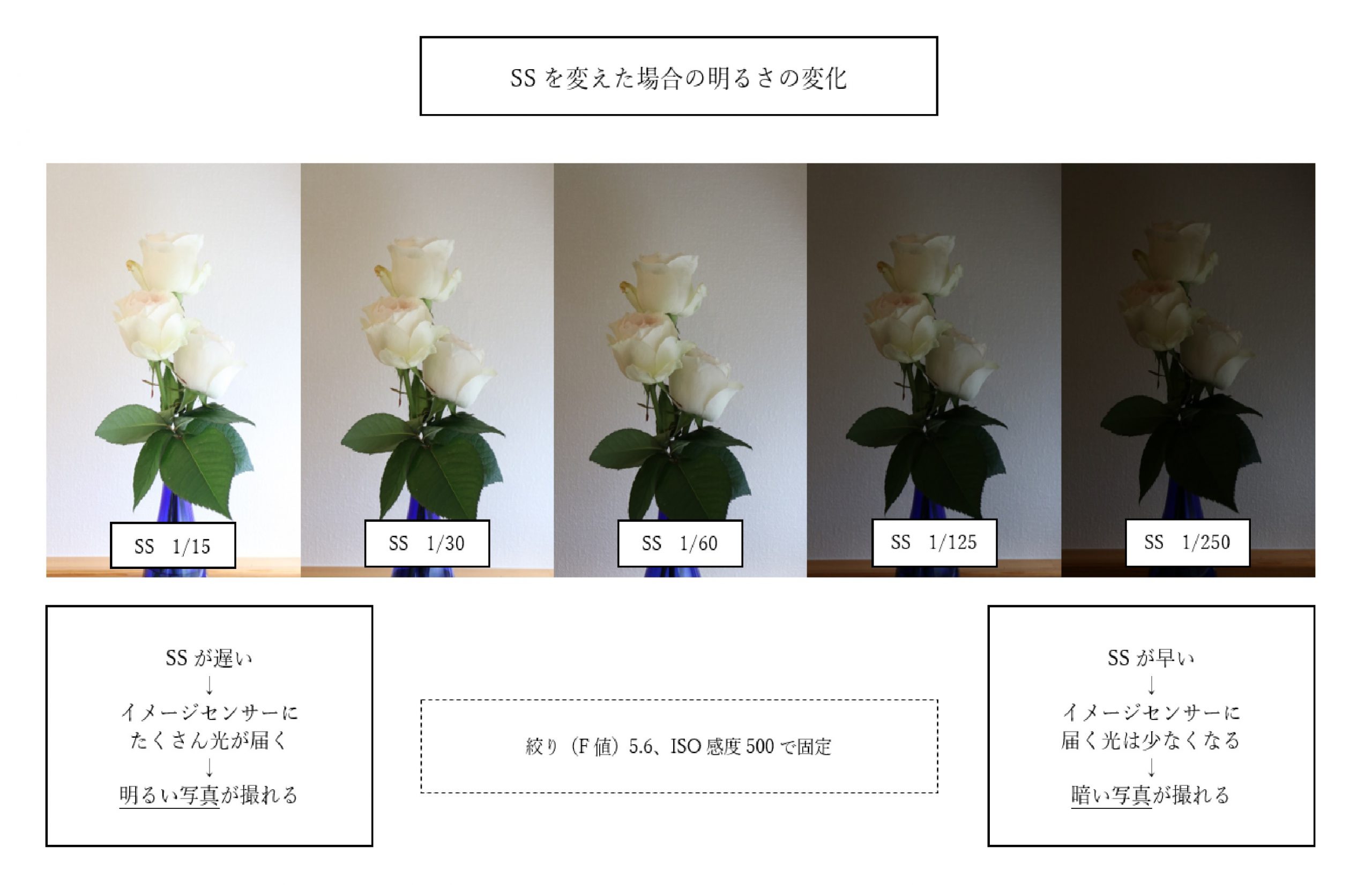 SSを変えた場合の明るさの変化