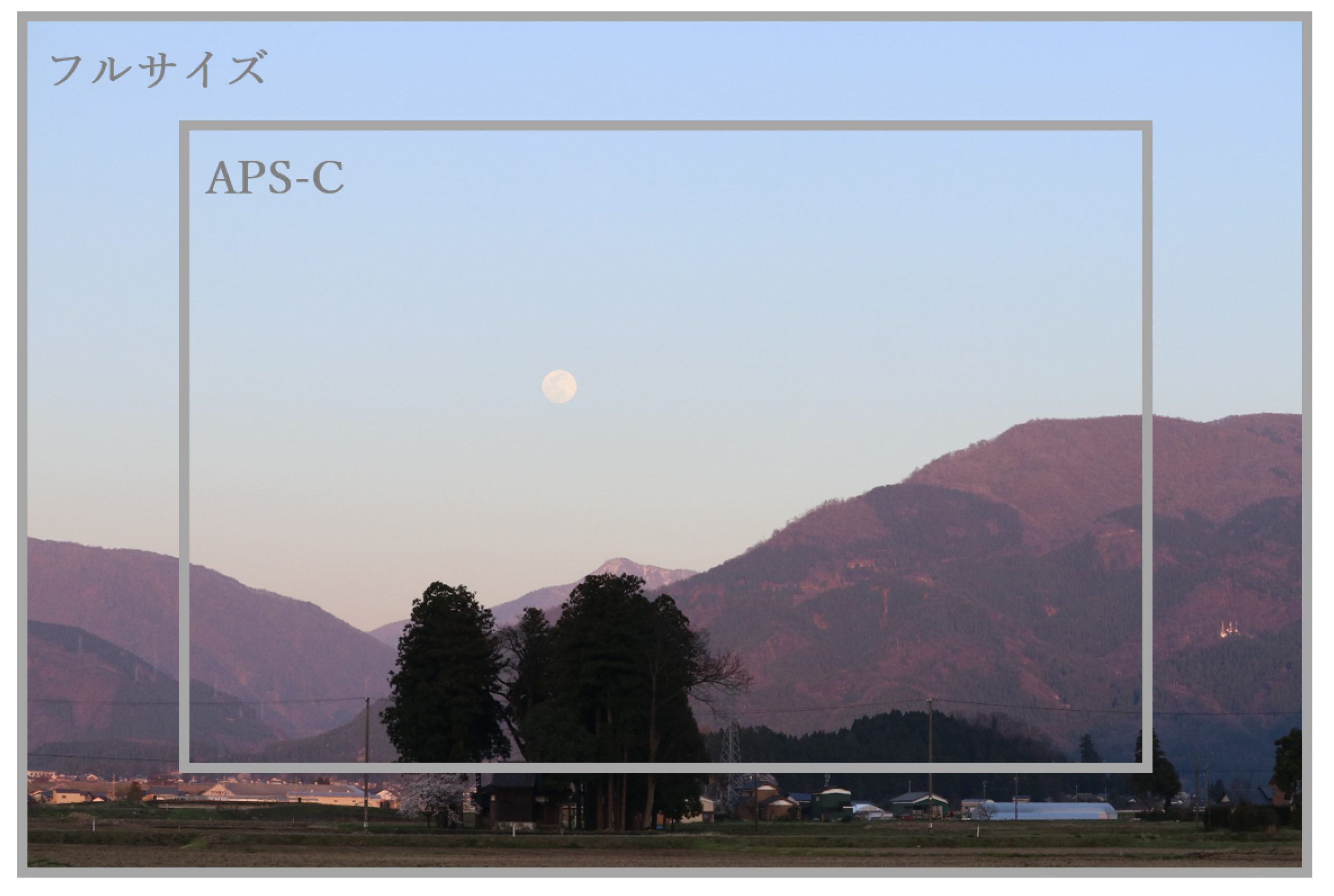 フルサイズとAPS-Cの画角の比較