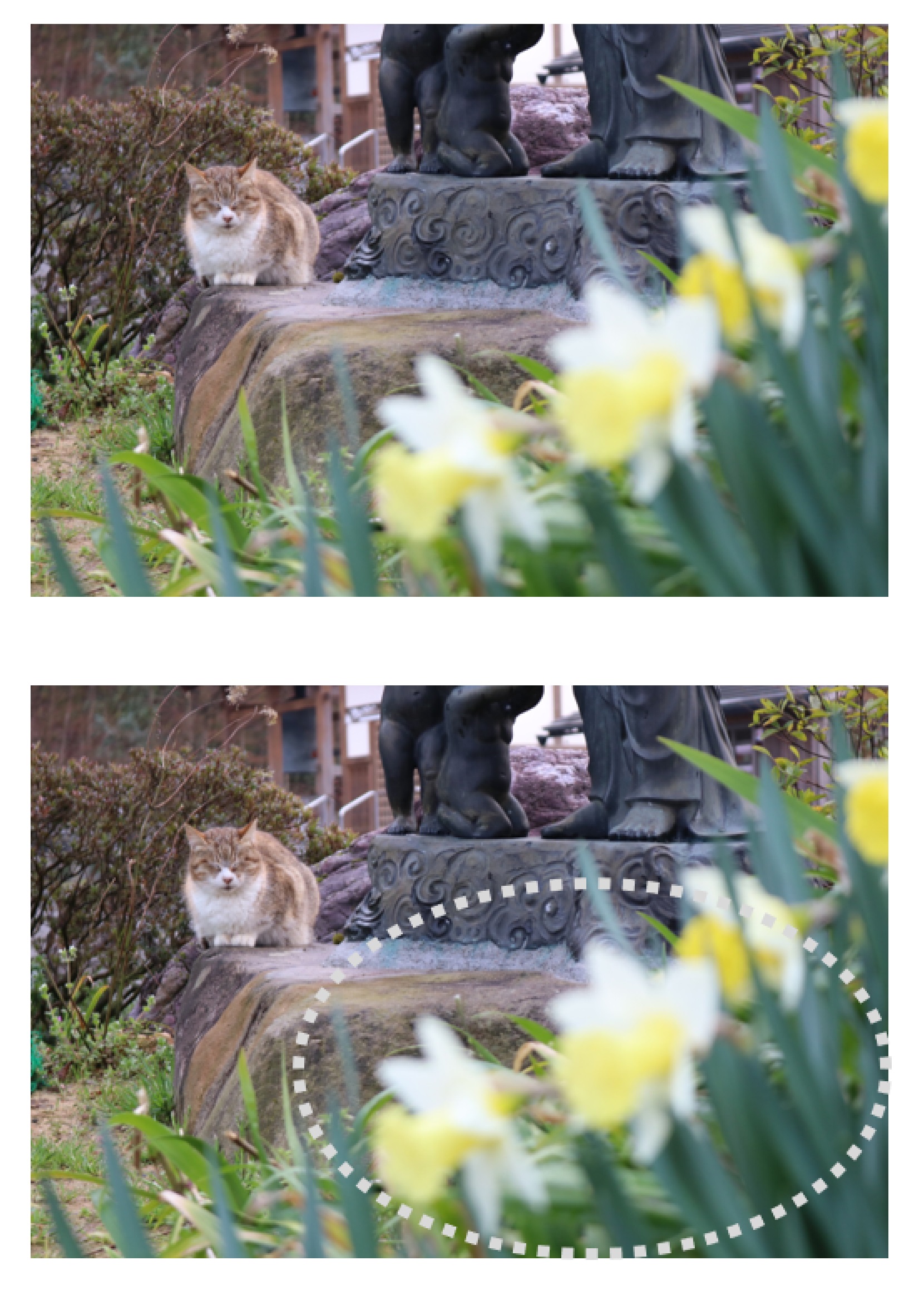手前のモノをぼかした写真